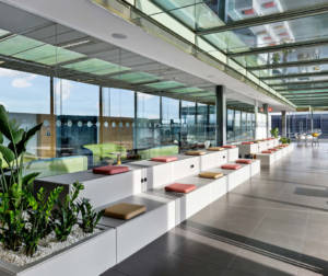 Ágora espacio de reuniones informales en oficina con cristalera y vegetación