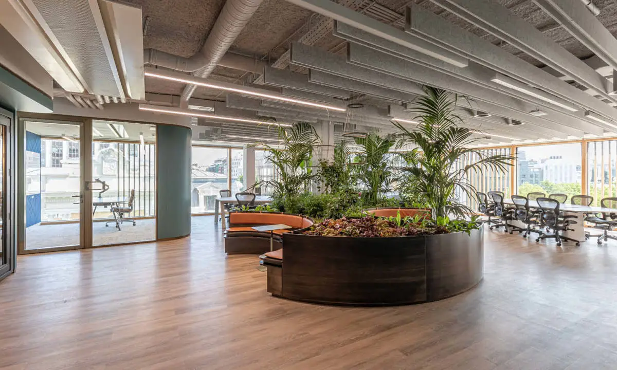 Rincón de oficina decorado con selección de plantas 