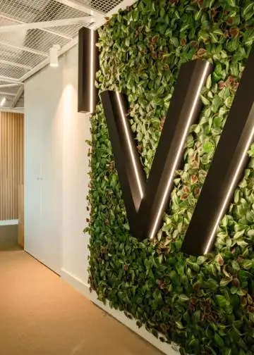 Jardín vertical para paredes en oficina colaborativa en Oporto