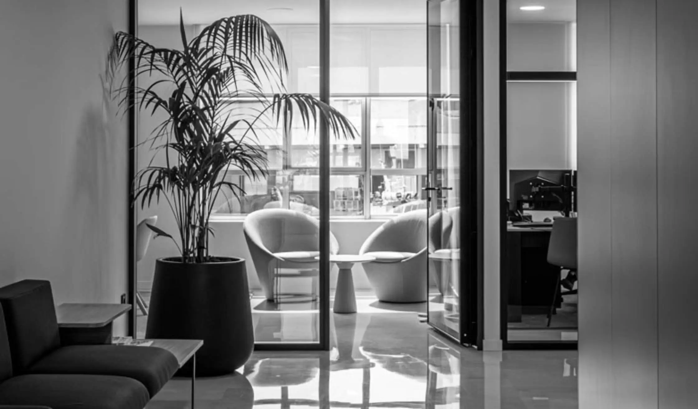 Compartimentación de oficinas: despacho, sala de reuniones y zonas auxiliares de trabajo
