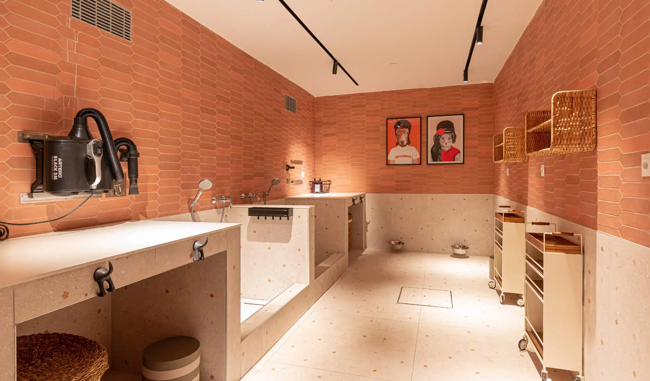Zona de pet spa realizada a medida en espacio Flex Living en Madrid